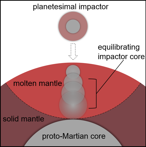 A cartoon of Martian accretion